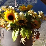 דירה Maison Belle Vue Monte Bianco Vicino A Courmayeur *