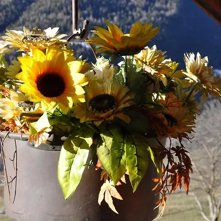아파트 Maison Belle Vue Monte Bianco Vicino A Courmayeur *